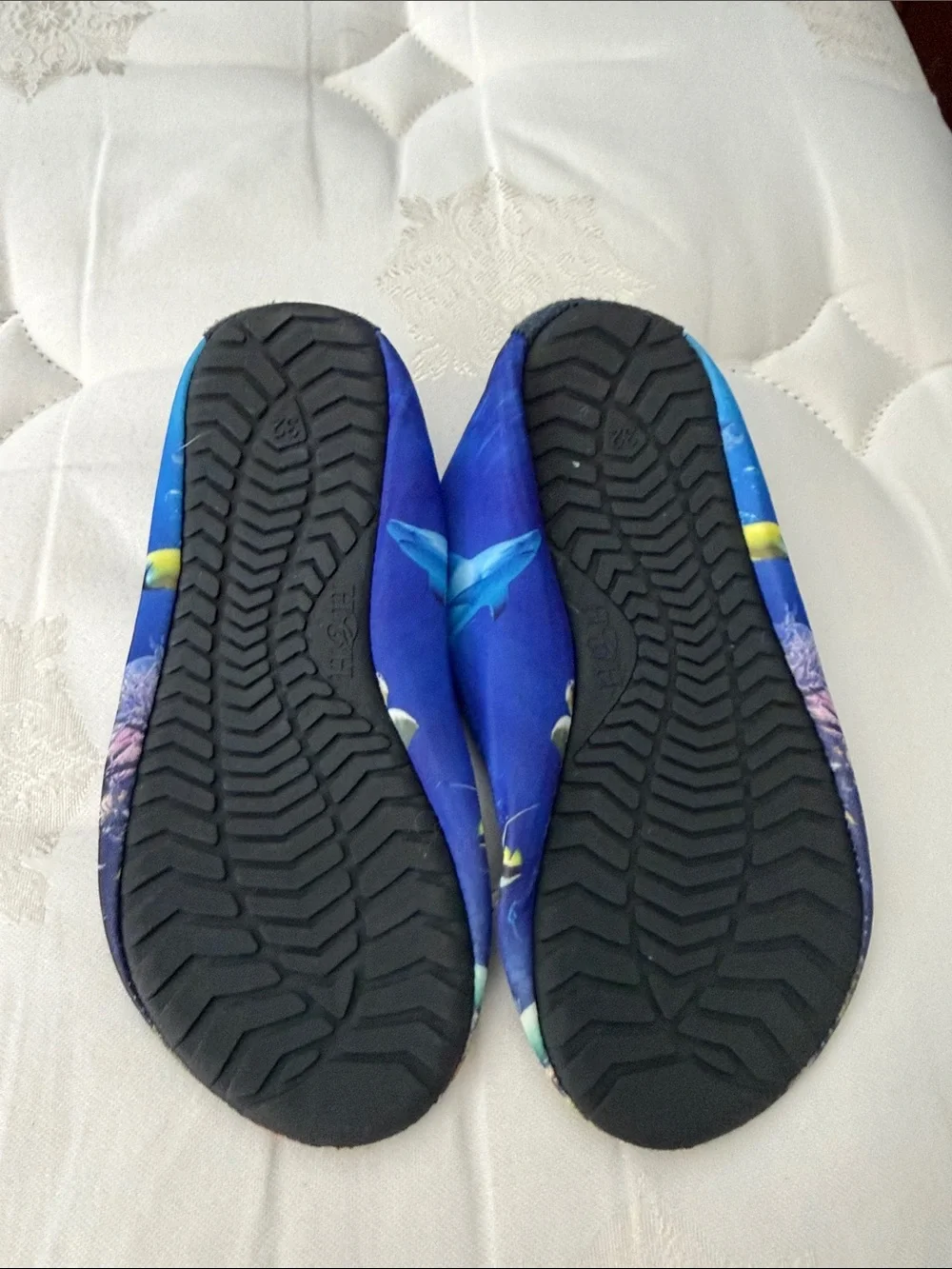 Kids Ocean Fish Water Shoes - Blue
